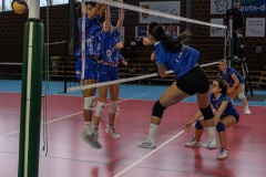 20260308_VOLLEY_STELLA_PRENAT_CAL_DK_16