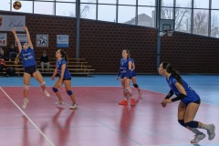 20260308_VOLLEY_STELLA_PRENAT_CAL_DK_20