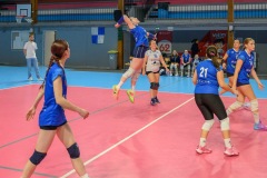 20251018_VOLLEY_PRENAT_STELLACALAIS_HELLEMMES_34