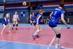 20251018_VOLLEY_PRENAT_STELLACALAIS_HELLEMMES_39