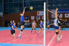 20251018_VOLLEY_PRENAT_STELLACALAIS_HELLEMMES_66