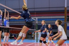 1_20251108_VOLLEY_ACCREG5_STELLACAL_HERSINC_67