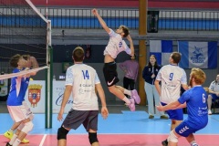 20251123_VOLLEY_ACCREGM_STELLACAL_ARQUES_46