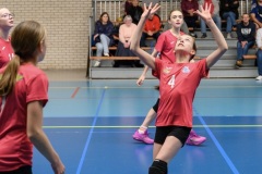 20250928b_VOLLEYCDFM13_STELLACALAIS_WATTIGNIES_13