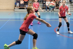20250928b_VOLLEYCDFM13_STELLACALAIS_WATTIGNIES_5