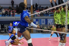 20260214_STELLA_ELITE_CAL_HARNES_16