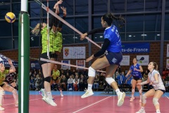 20260214_STELLA_ELITE_CAL_HARNES_33