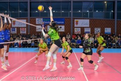 20260214_STELLA_ELITE_CAL_HARNES_45