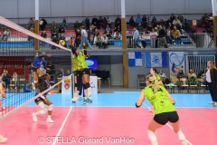 20260214_STELLA_ELITE_CAL_HARNES_67