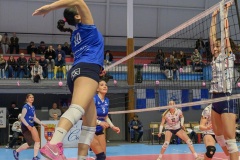 20250301_VOLLEY_ELITE_STELLACAL_ASIVOLBALL_27