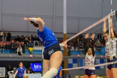 20250301_VOLLEY_ELITE_STELLACAL_ASIVOLBALL_33