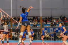 20250301_VOLLEY_ELITE_STELLACAL_ASIVOLBALL_47