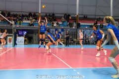 20250301_VOLLEY_ELITE_STELLACAL_ASIVOLBALL_56