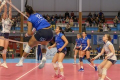 20250301_VOLLEY_ELITE_STELLACAL_ASIVOLBALL_61
