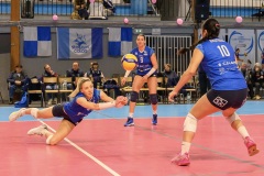 20250301_VOLLEY_ELITE_STELLACAL_ASIVOLBALL_62