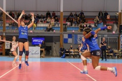 20250301_VOLLEY_ELITE_STELLACAL_ASIVOLBALL_63