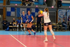 20250301_VOLLEY_ELITE_STELLACAL_ASIVOLBALL_73