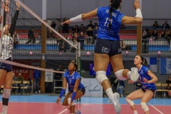 20250301_VOLLEY_ELITE_STELLACAL_ASIVOLBALL_89
