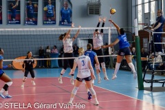 20250412_VOLLEY_ELITE_CALAIS_LONGEAU_54