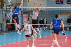 20250412_VOLLEY_ELITE_CALAIS_LONGEAU_56