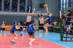 20250412_VOLLEY_ELITE_CALAIS_LONGEAU_98