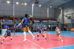 20250125_VOLLEY_ELITE_STELLA_NANTES_47