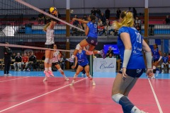 20251206_VOLLEY_ELITE_STELLACAL_QUIMPER_115