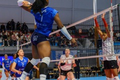 20251206_VOLLEY_ELITE_STELLACAL_QUIMPER_38