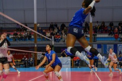 20251206_VOLLEY_ELITE_STELLACAL_QUIMPER_64