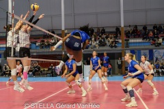 20251206_VOLLEY_ELITE_STELLACAL_QUIMPER_66