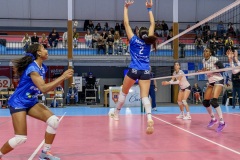 20251025_VOLLEY_ELITE_STELLA_RENNES_35