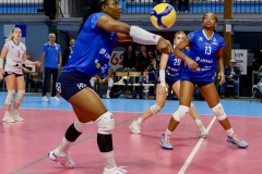 20251025_VOLLEY_ELITE_STELLA_RENNES_85