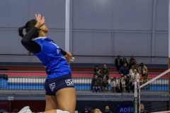 20251129_VOLLEY_ELITE_STELCAL_VIENNE_23