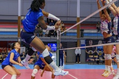 20251129_VOLLEY_ELITE_STELCAL_VIENNE_29