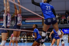 20251129_VOLLEY_ELITE_STELCAL_VIENNE_61