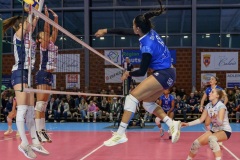 20251129_VOLLEY_ELITE_STELCAL_VIENNE_71