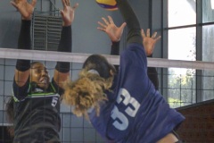 20250913_VOLLEY_ELITE_CALAIS_HARNES_69