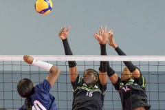 20250913_VOLLEY_ELITE_CALAIS_HARNES_75