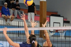 20250913_VOLLEY_ELITE_CALAIS_HARNES_83
