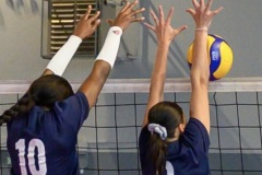 20250913_VOLLEY_ELITE_CALAIS_HARNES_94