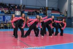 20260404_VOL_STEL_ELITE_CAL_HARNES_119