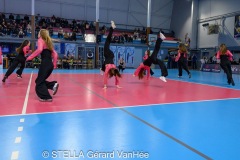 20260404_VOL_STEL_ELITE_CAL_HARNES_121