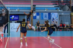 20260412_VOLLEY_CDFM18F_STELCAL_VINCENNES_BOULOGNEB_17
