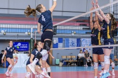 20260412_VOLLEY_CDFM18F_STELCAL_VINCENNES_BOULOGNEB_2