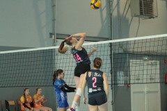 IMG_1980