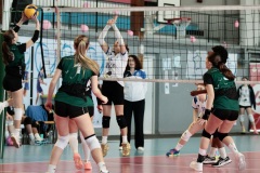 MG_5767