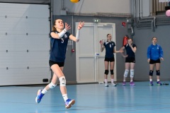 20241215_STELLAM18_LYSLANNOY_20