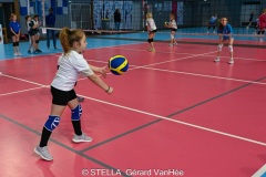 20241109_VOLLEY_STELLA_M9_M11_21