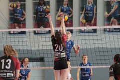 MG_6446