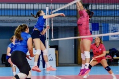 20251019_VOLLEY_N3_STELLACALAIS_ANTONY_99